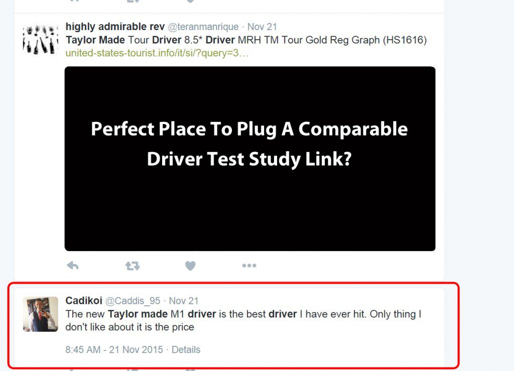 Capitalizing People Who Uses Twitter Search to Find Reviews